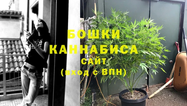 прущий лед Касимов