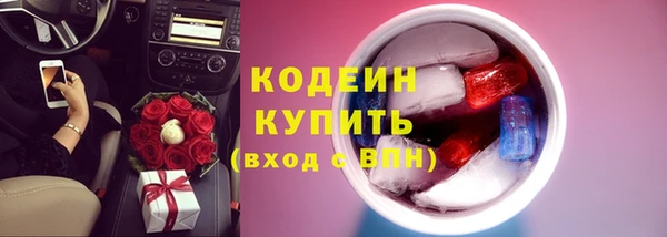 мдпв Карпинск