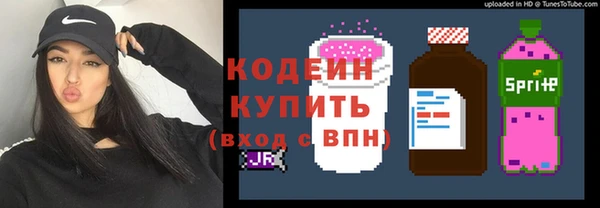 мдпв Карпинск