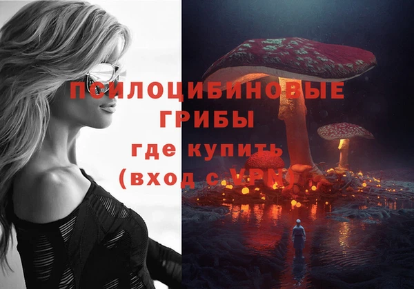 прущие грибы Кинешма