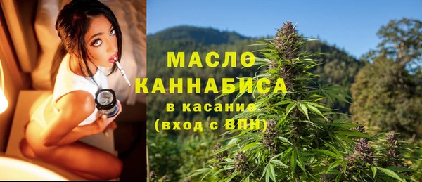 мдпв Карпинск