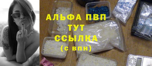 прущие грибы Кинешма