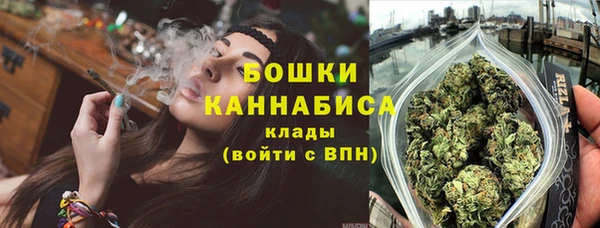 мдпв Карпинск