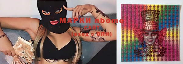 прущие грибы Кинешма